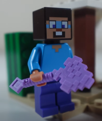 steve.png